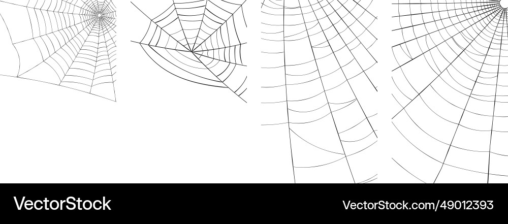 Spiders and web background with space Vector Image