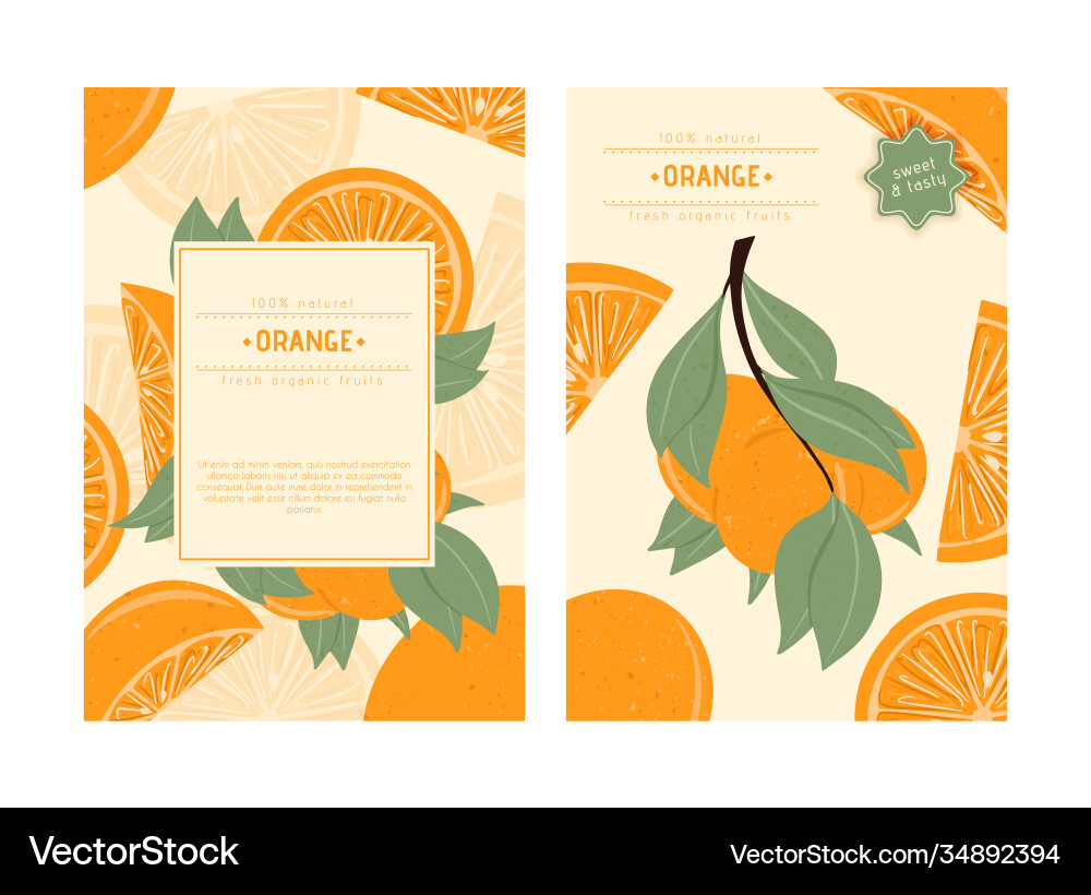 Frische texturierte Orangenfrüchte auf Zweig mit Blättern Frische texturierte Orangenfrüchte auf Zweig mit Blättern vektorbild