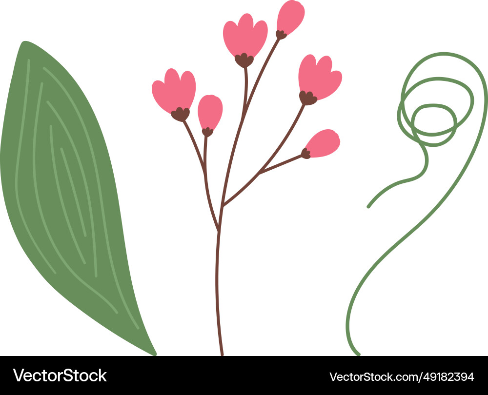 Set of 3 botanical design elements Vector Image