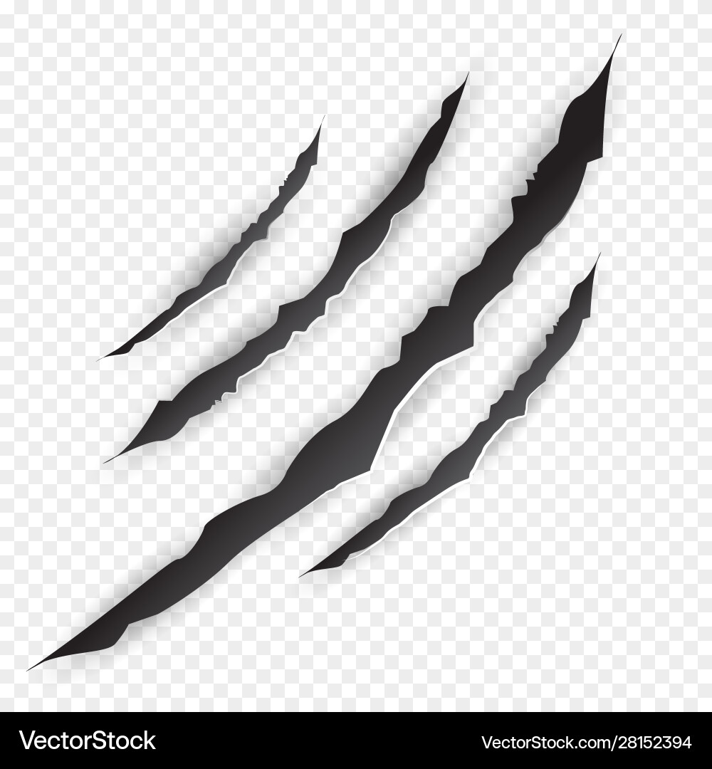 Sharp Claw Marks - Scratch Texture Vector Image