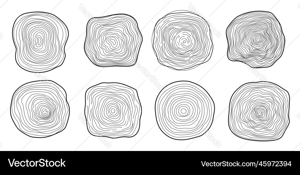 Tree trunk cuts set in hand drawn sketch Vector Image