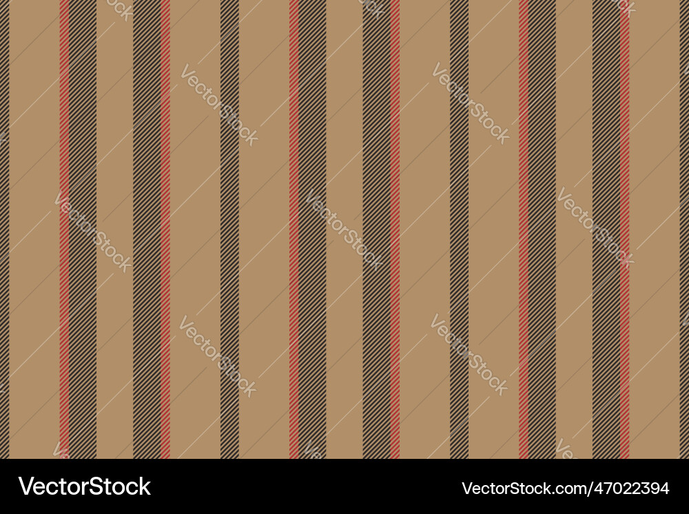 Vertical lines stripe background stripes pattern Vector Image