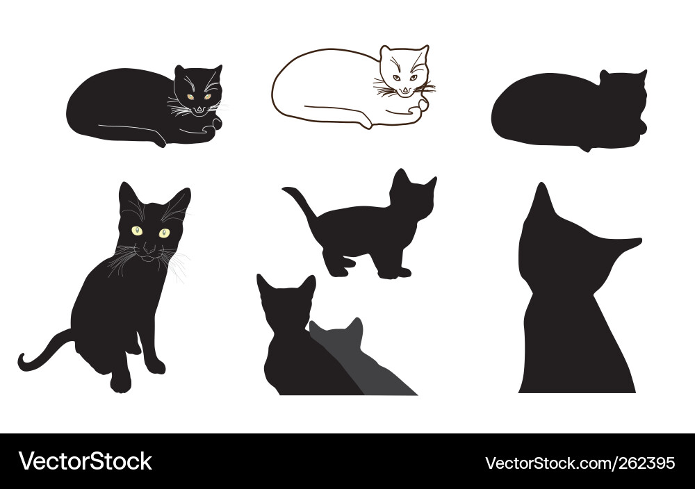 Cat design elements vector image