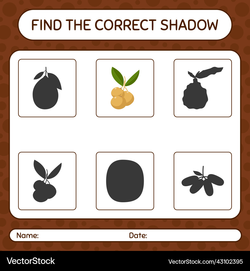 Find the correct shadows game with longan Find the correct shadows game with longan vector image