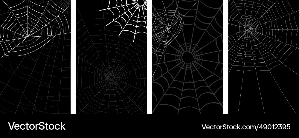 Spiders and web background with space Vector Image