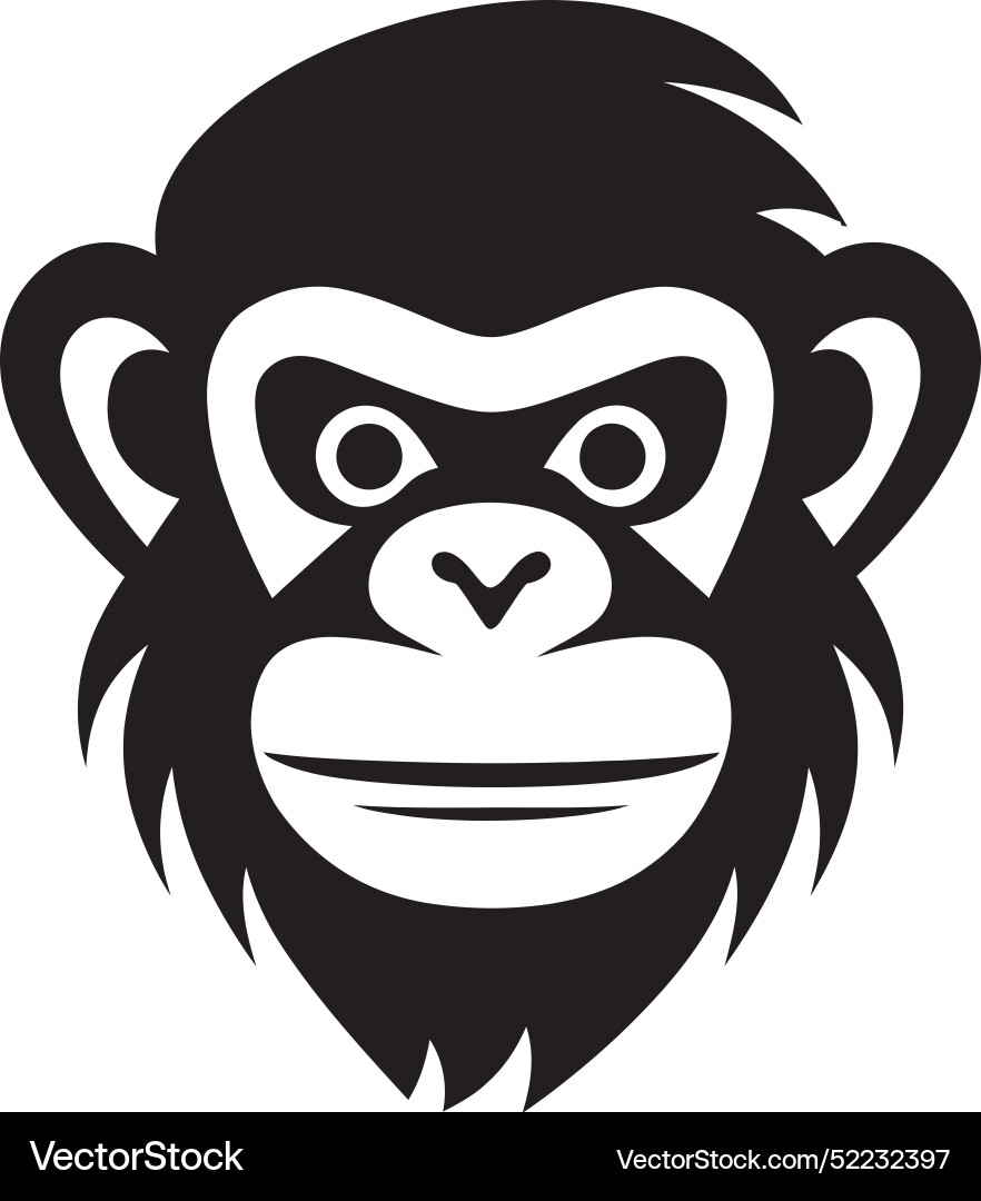 Mastering monkey graphics tips and tricks monkeys Vector Image