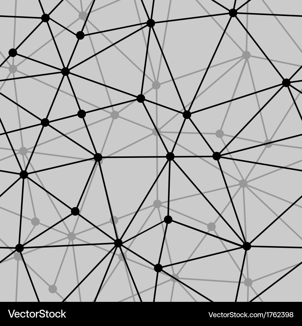 Black and White Net Pattern vector image