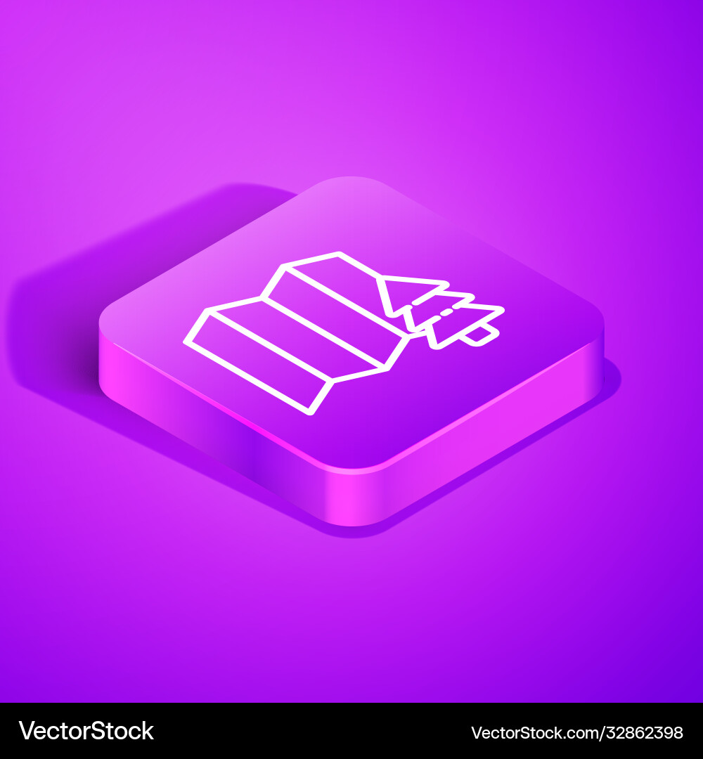 Isometric line location forest on a map Isometric line location forest on a map vector image