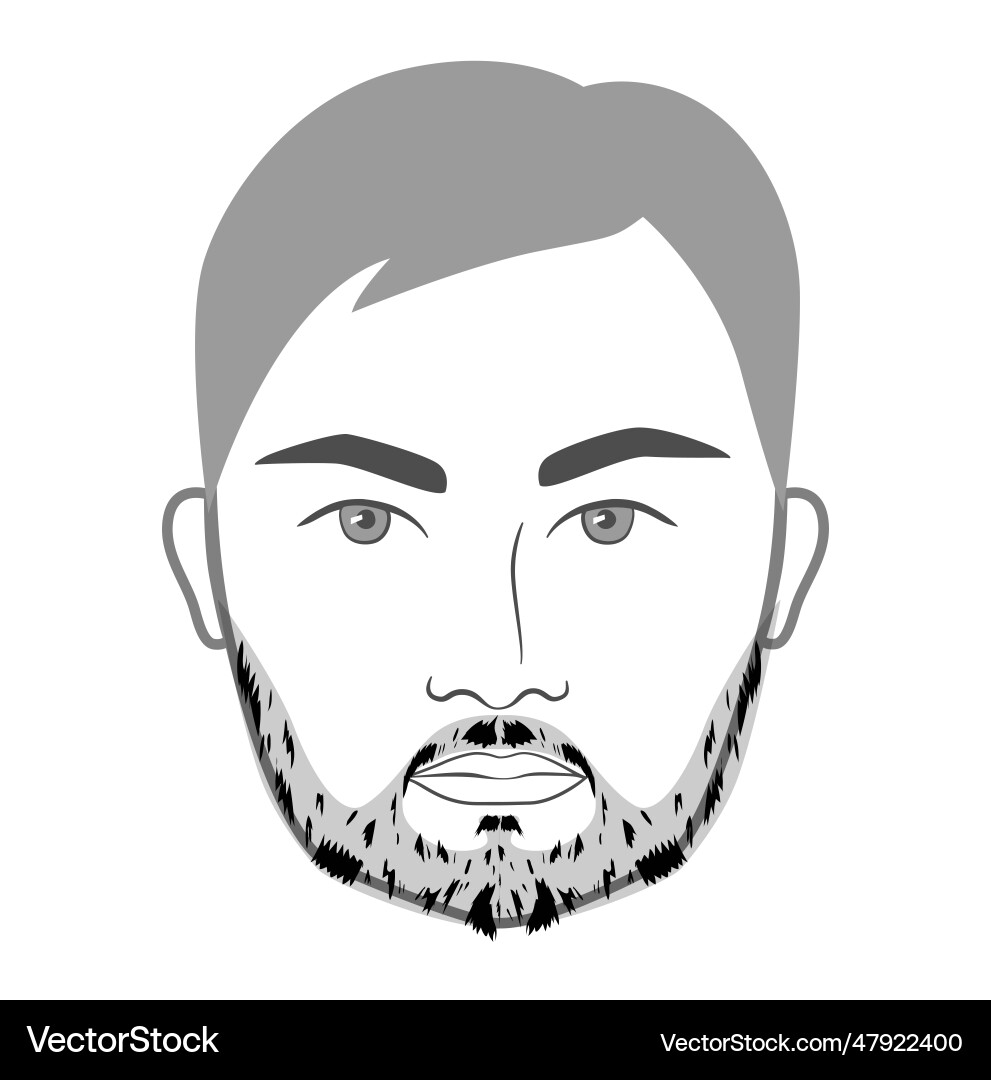 Patchy beard style men in face facial Patchy beard style men in face facial vector image