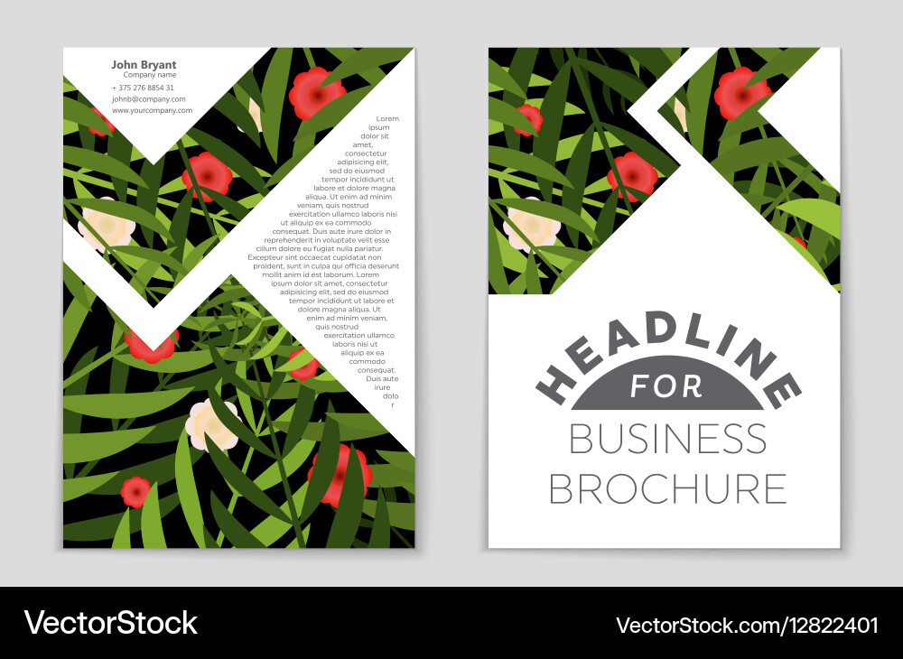 Abstract layout background set for art Vector Image