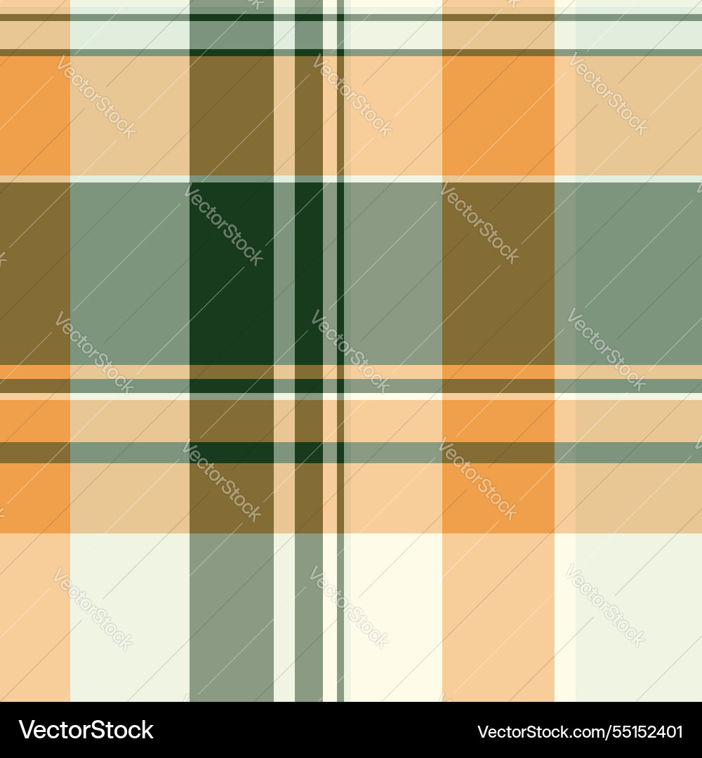 Checking seamless texture fabric age pattern Vector Image