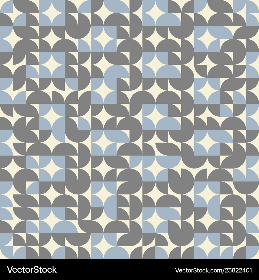 Geometric Circle Pattern vector image