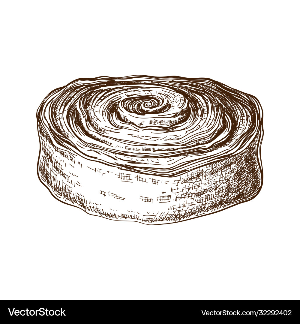 Cinnamon Roll Dessert Sketch Vector Image