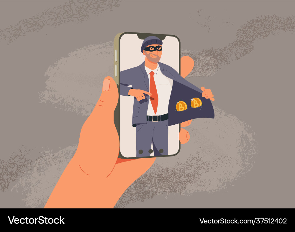 Online fraud web hacking vector image