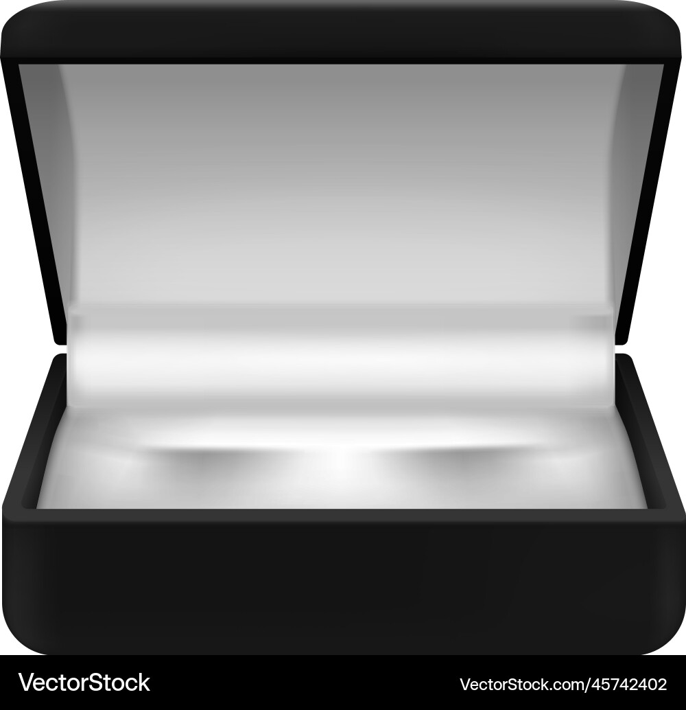 Rectangular ring case composition Vector Image