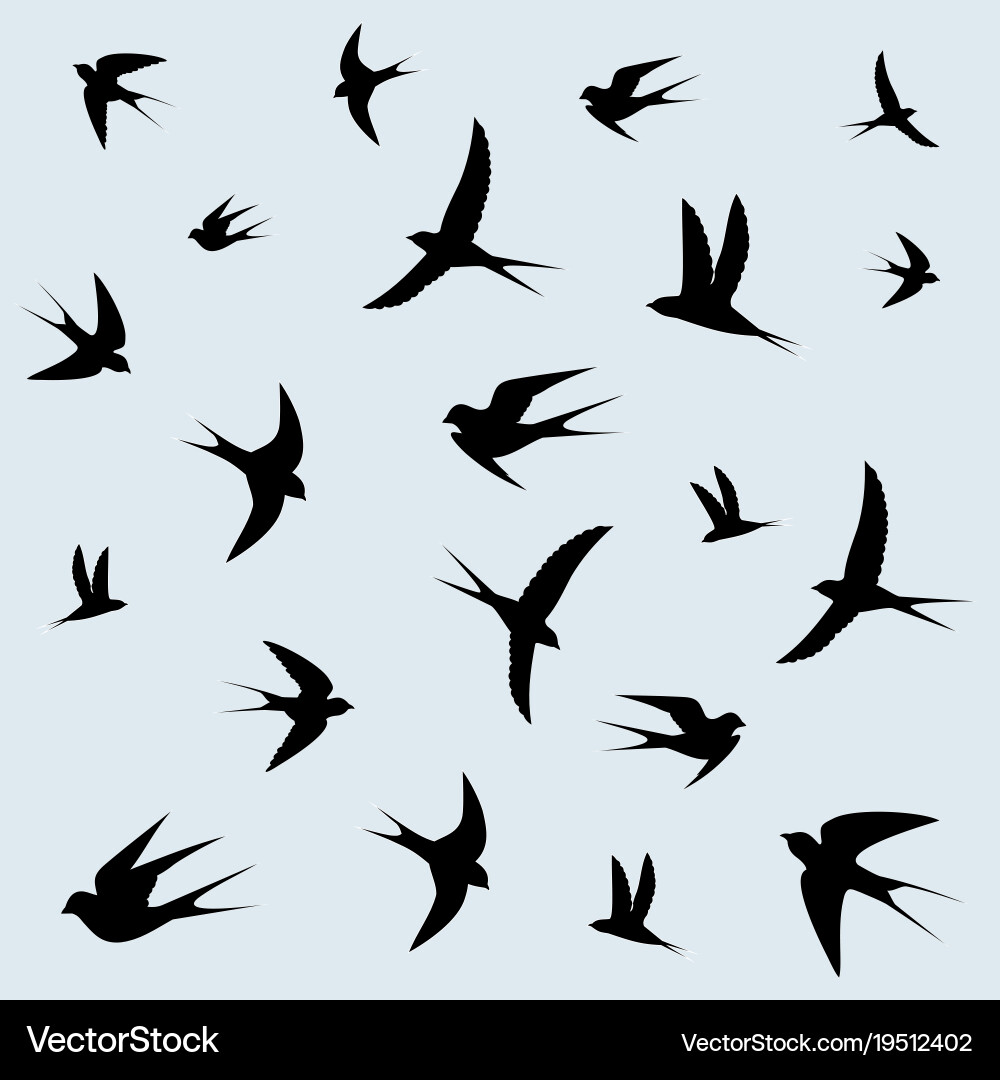 Swallows Flying in Blue Sky Vector Image