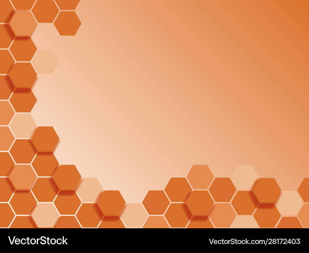 Background template with abstract patterns vector image