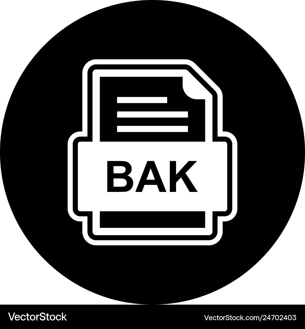 Bak file document icon vector image