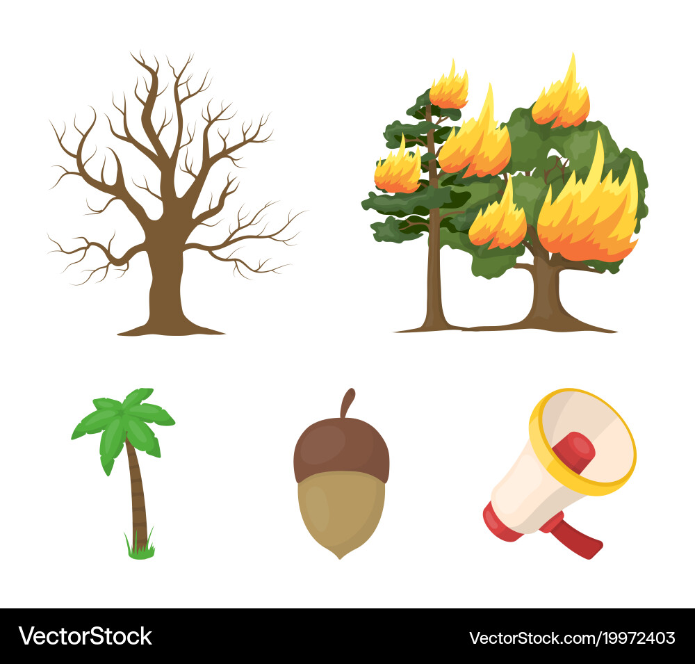 Burning tree palm acorn dry treeforest set Vector Image