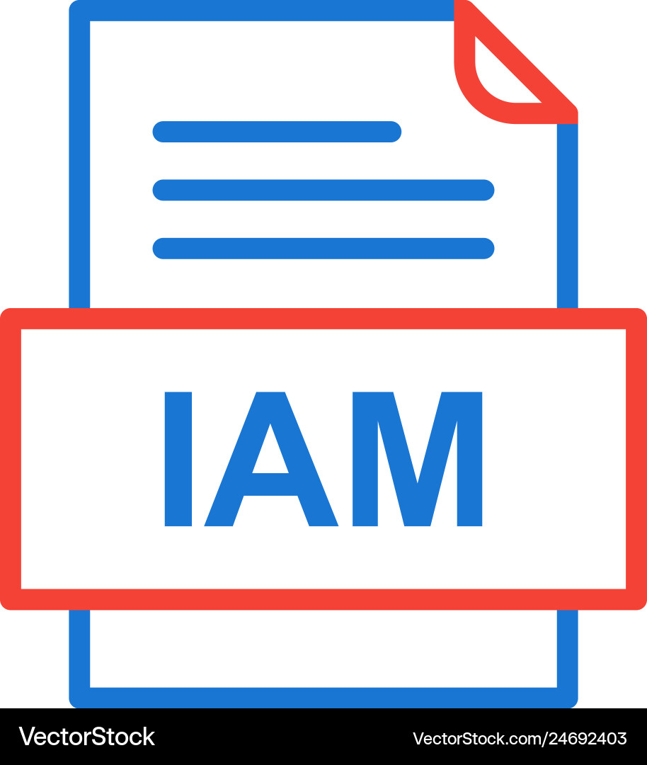 Iam file document icon vector image