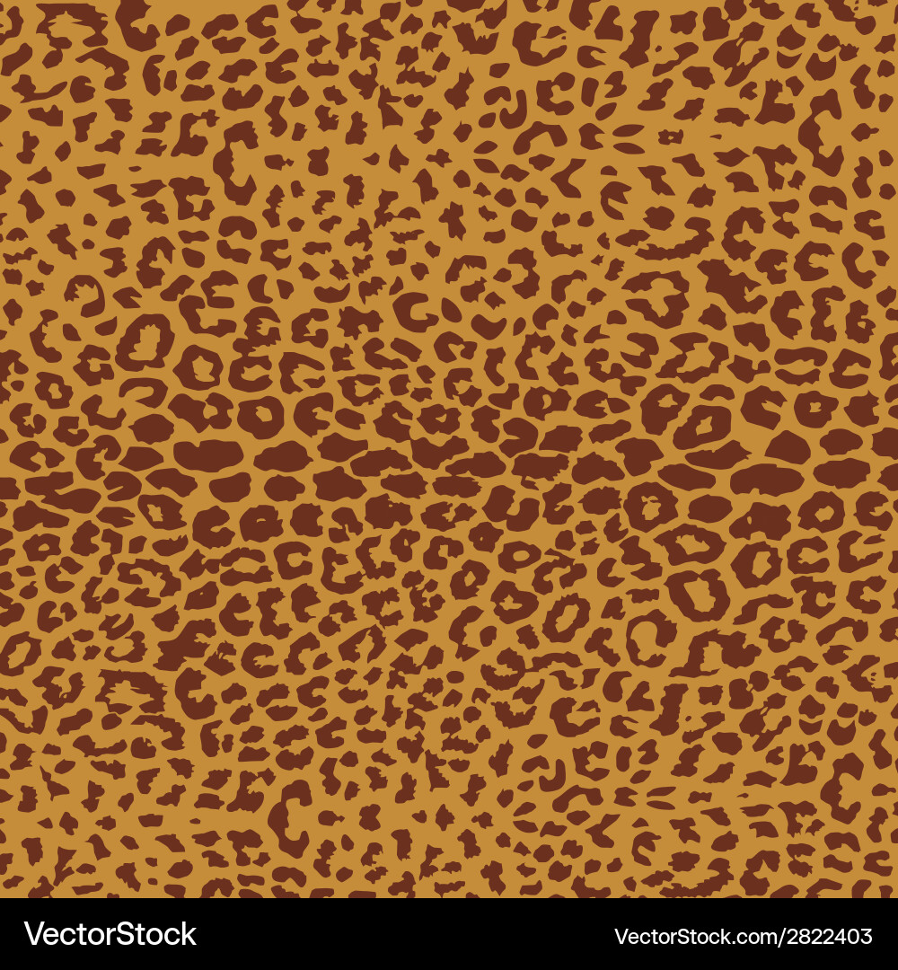 Leopard pattern repeating background vector image