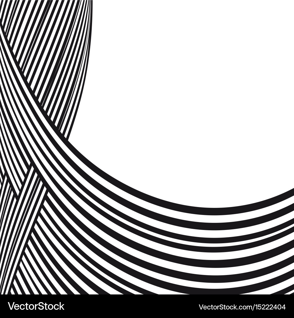 Abstract background black and white curve lines vector image