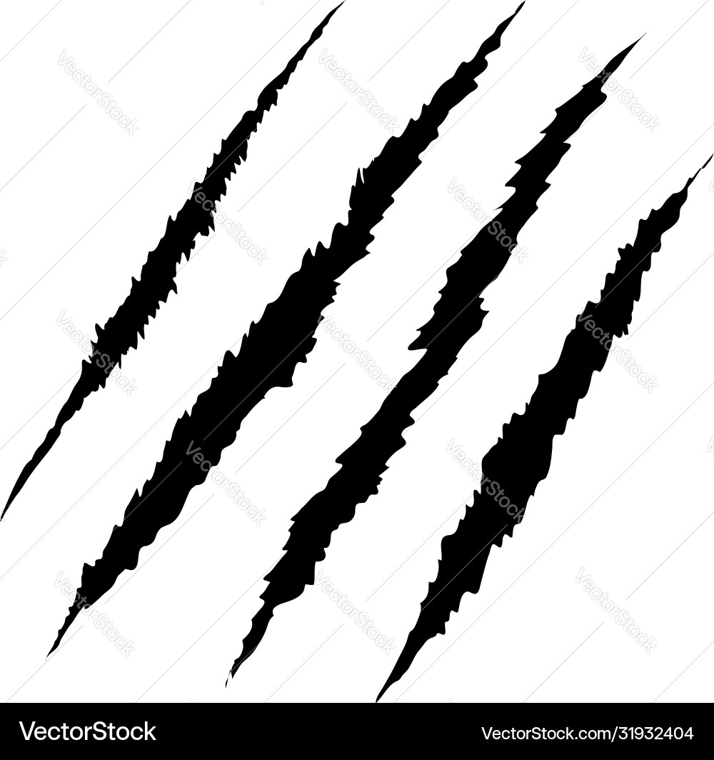 Claws scratch on white background design element Claws scratch on white background design element vector image
