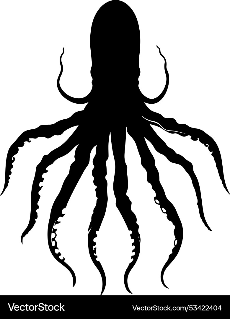 Giant squid silhouette white background Giant squid silhouette white background vector image