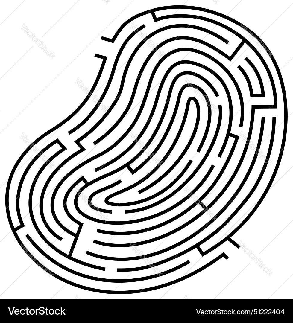 Maze labyrinth with entry and exit Vector Image