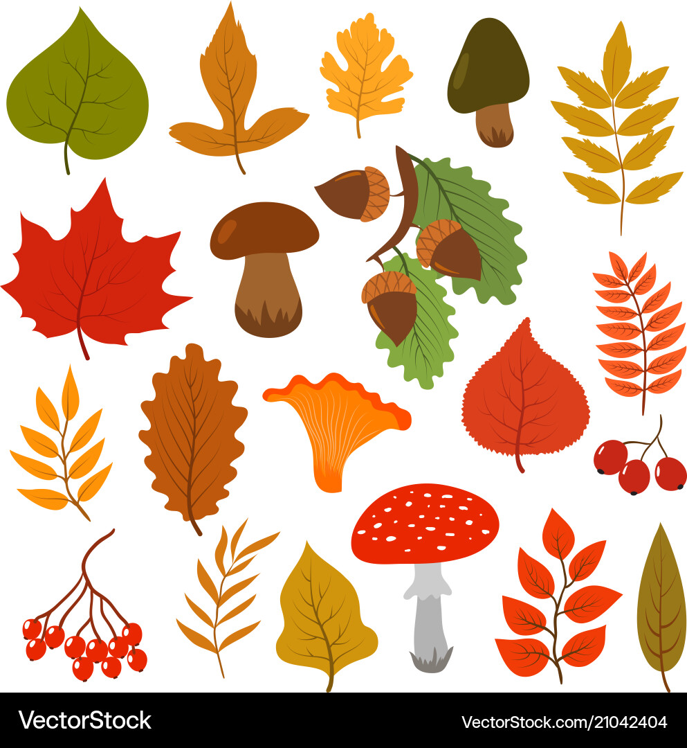 Yellow autumn leaves mushrooms and berries fall vector image