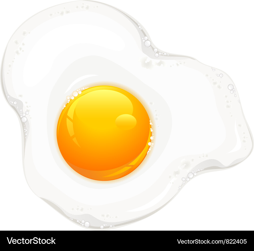 Delicious Fried Eggs on White Background Vector Image