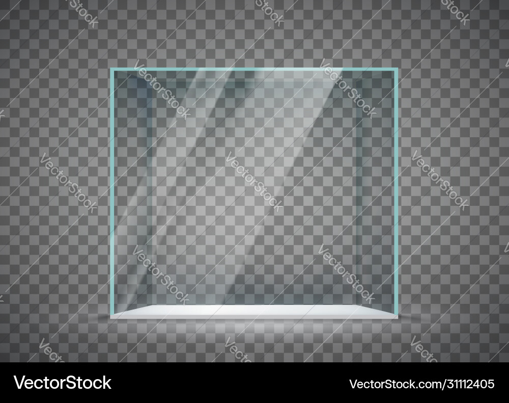 Empty Glass Cube Display vector image