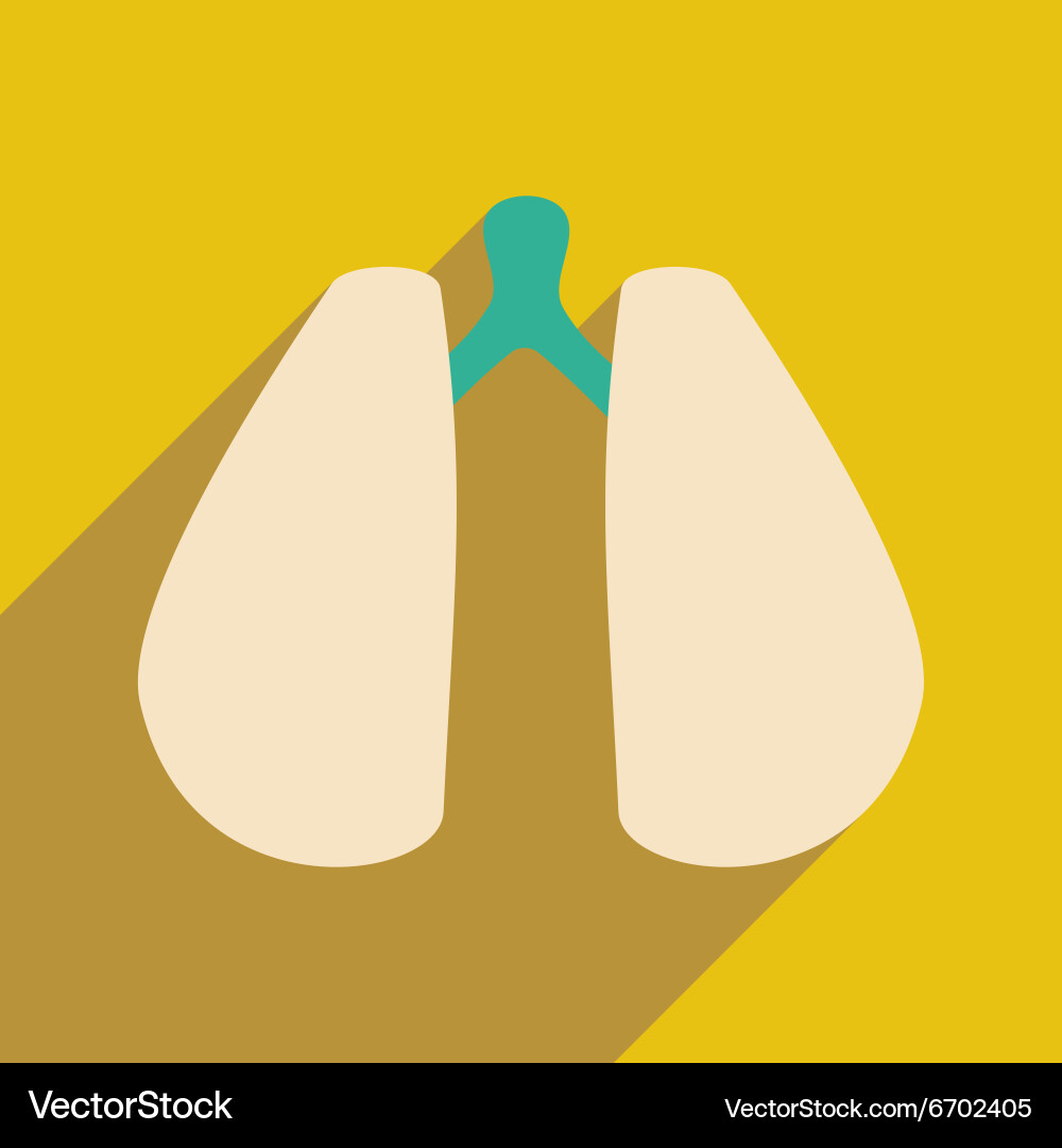 Flat with shadow icon and mobile application lungs Vector Image
