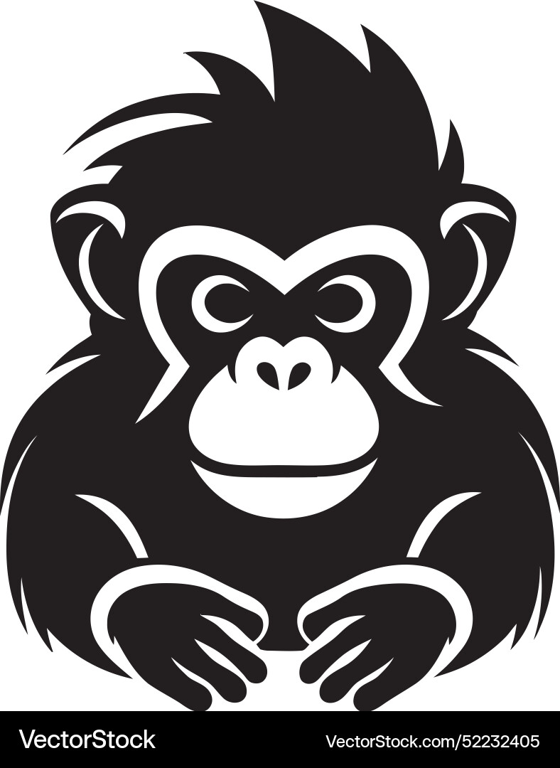 Monkey magic a creative adventure monkeys Vector Image