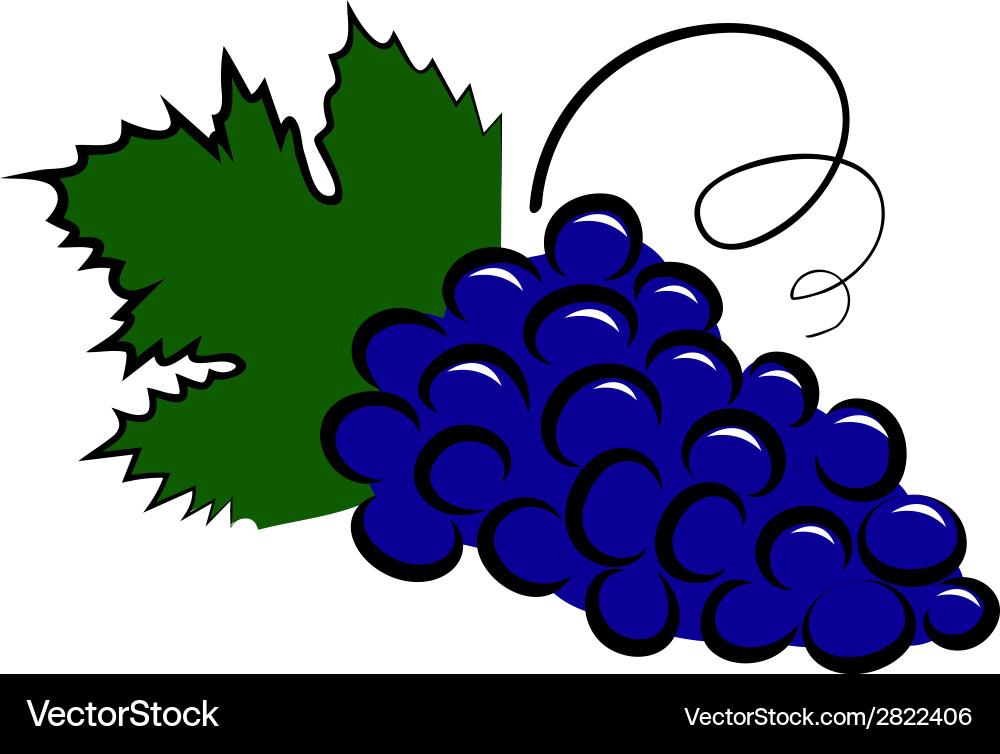 Grape icon Royalty Free Vector Image - VectorStock