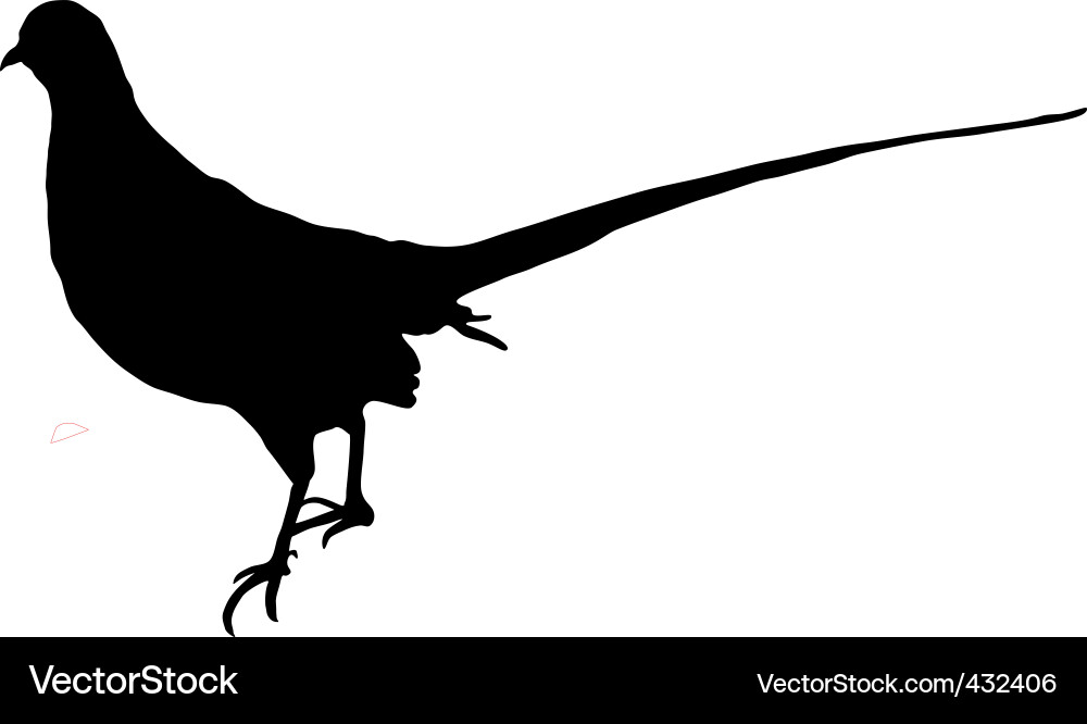 Pheasant Silhouette Against a Dark Background Vector Image