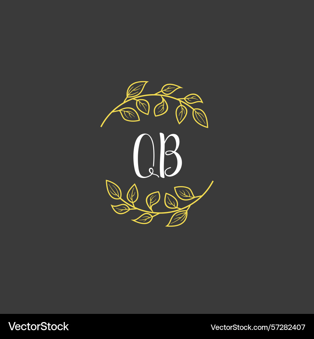 Botanical monogram logos with initial qb Botanical monogram logos with initial qb vector image