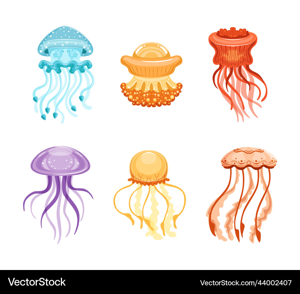 Colorful jellyfish with umbrella-shaped bell Colorful jellyfish with umbrella-shaped bell vector image