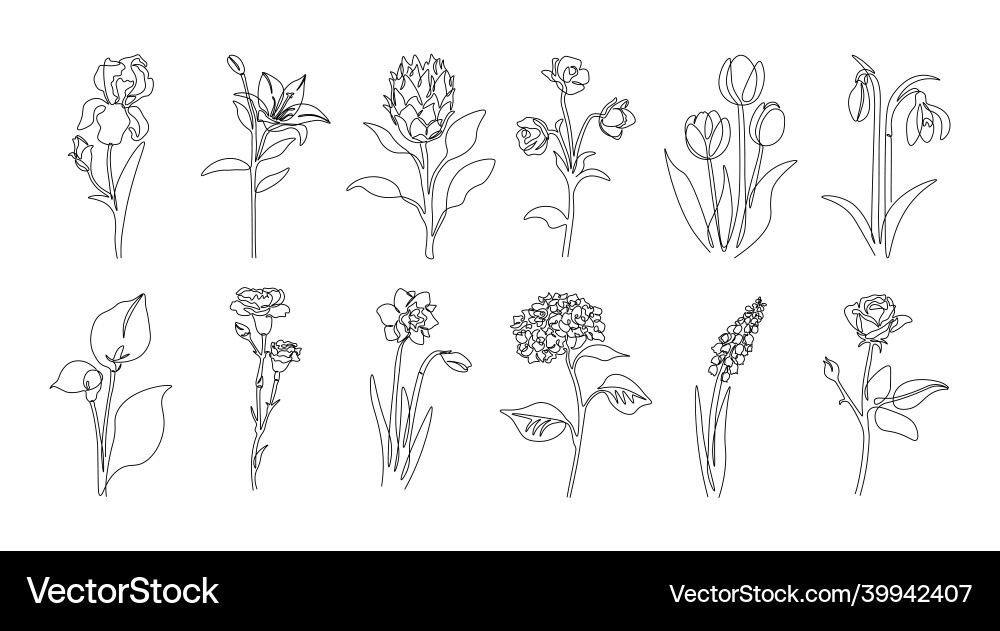 Continuous line flowers abstract vector image