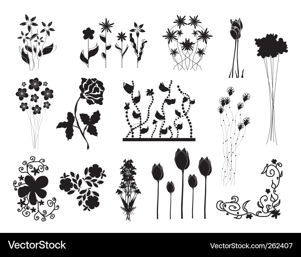 Floral Elements Collection vector image