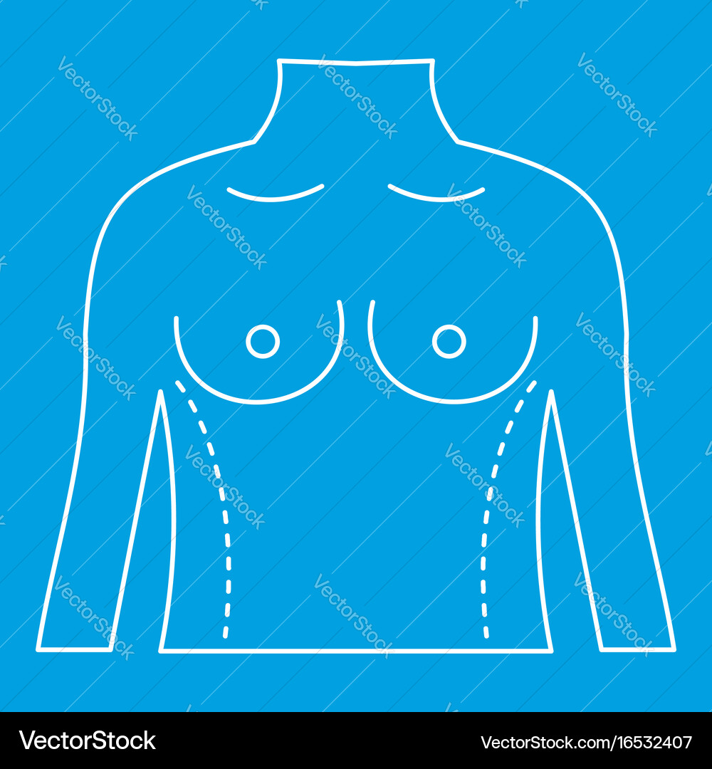 Torso marked with lines for correction icon vector image