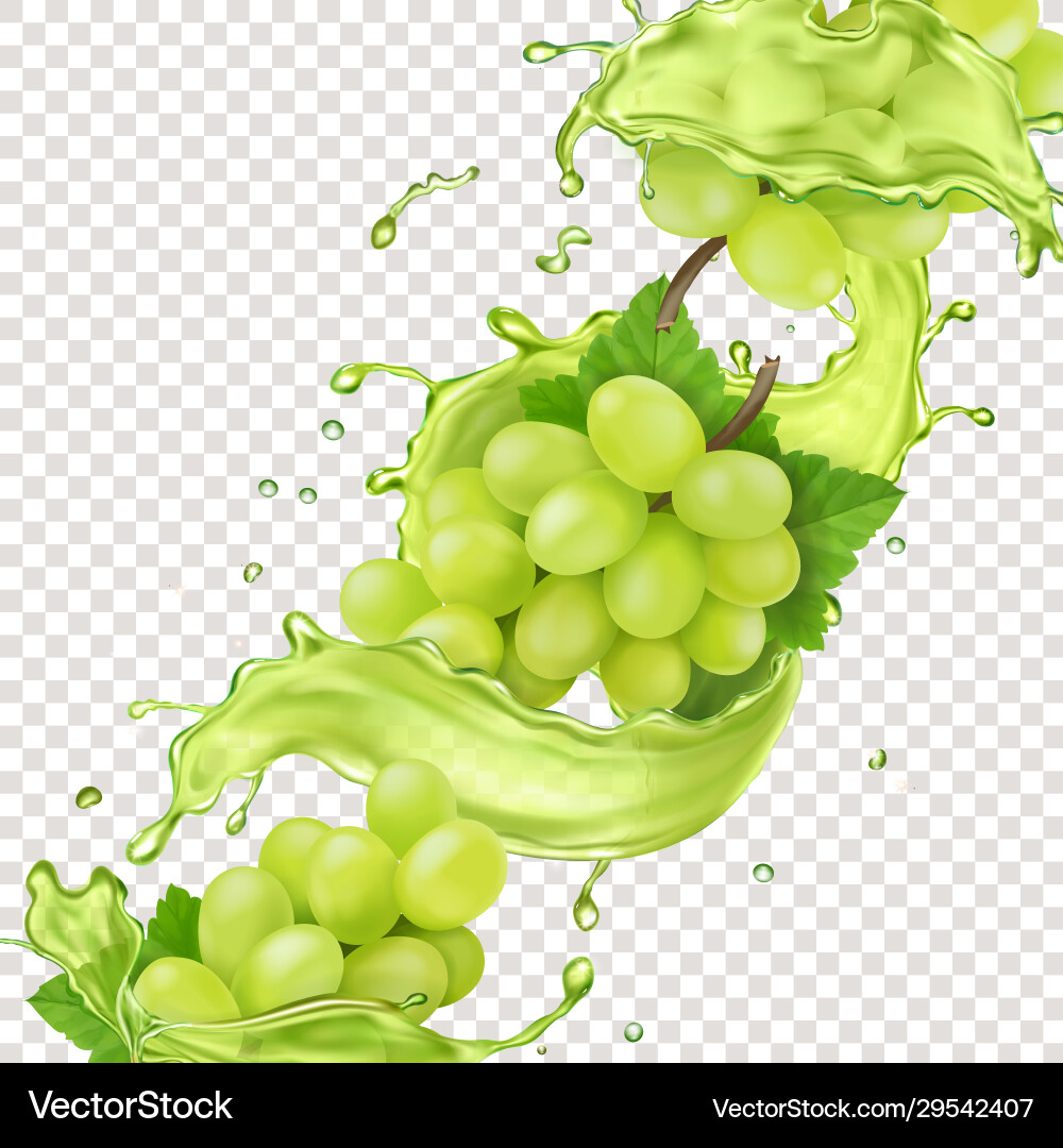 White grape branch in juice splash realistic White grape branch in juice splash realistic vector image