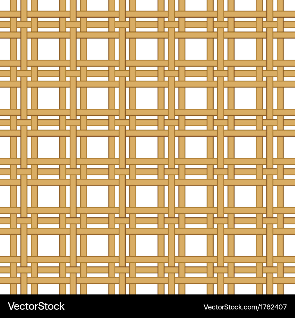 Wicker Texture Background vector image
