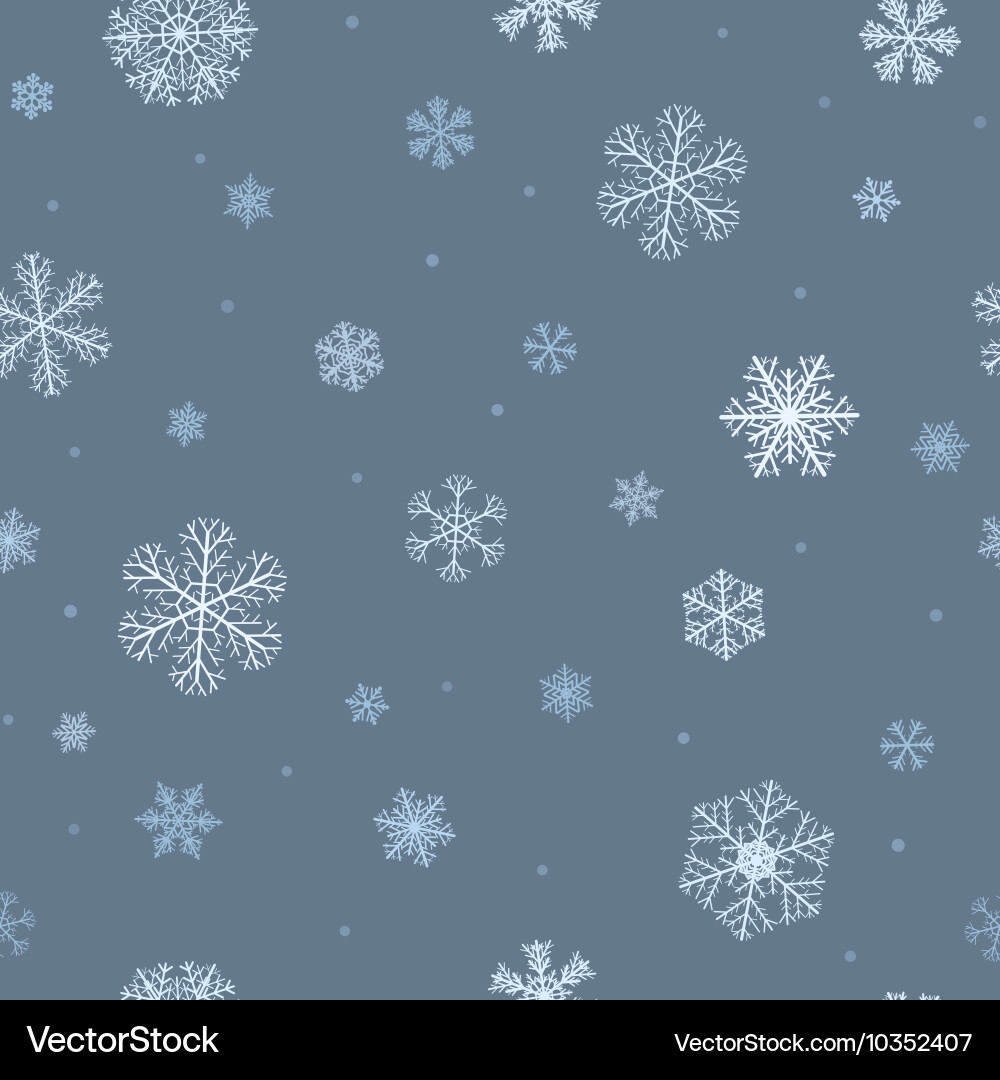 Winter Snowflake Pattern vector image
