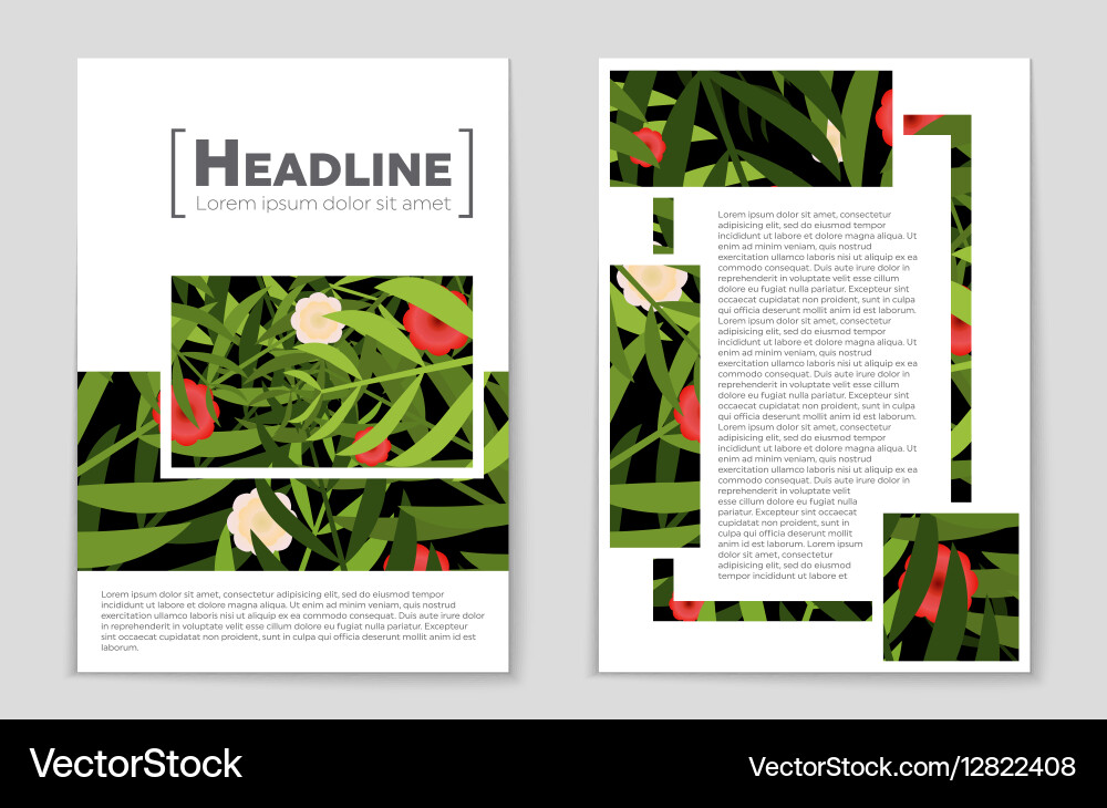 Abstract layout background set for art Vector Image