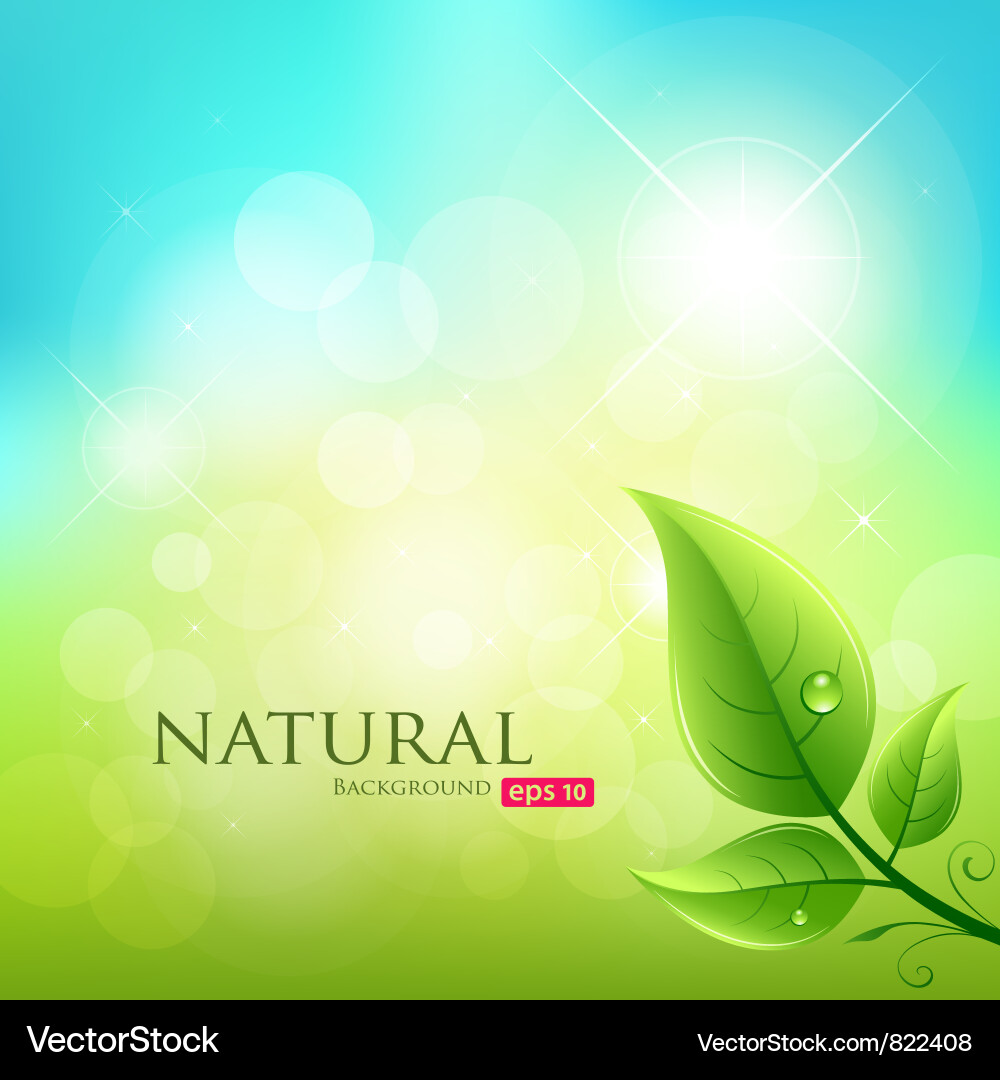 Green Leaf Natural Background Royalty Free Vector Image