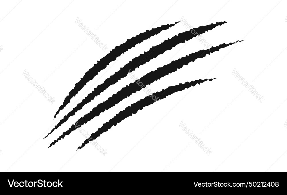 Scratch claw marks cat tiger bear wolf dragon Scratch claw marks cat tiger bear wolf dragon vector image