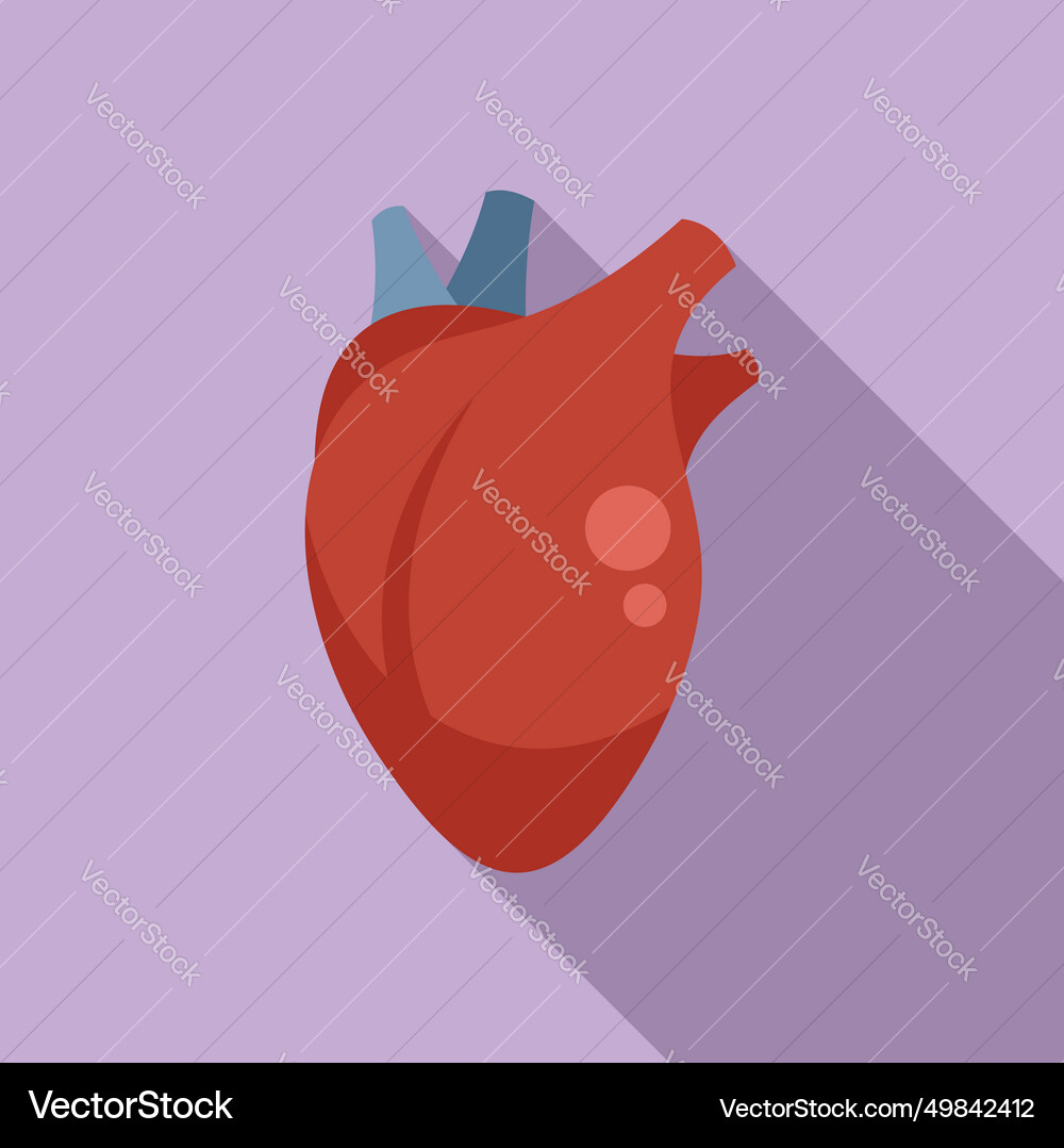 Structure heart transplant icon flat Structure heart transplant icon flat Vector Image