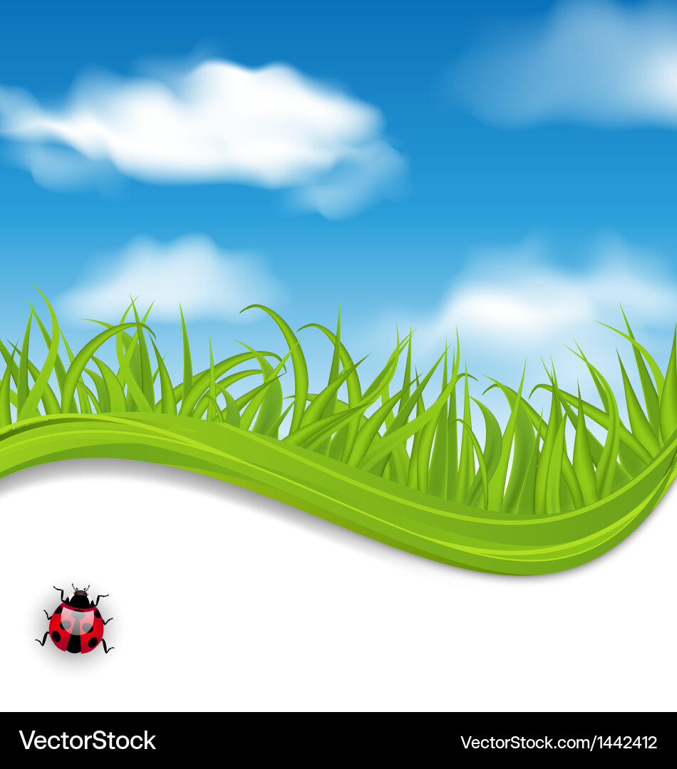 Summer beautiful card nature background – Royalty-Free Vector | VectorStock, image size:950x1080