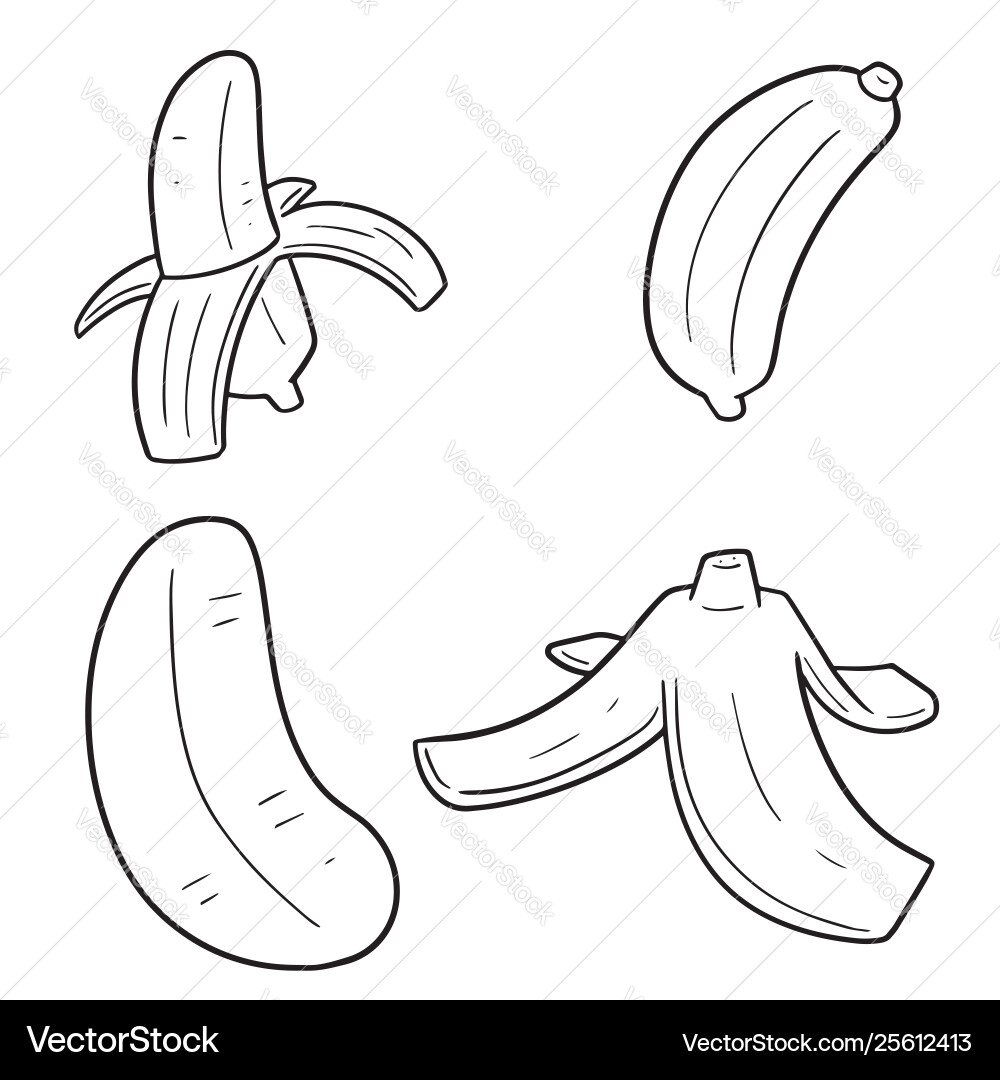Banana Collection vector image